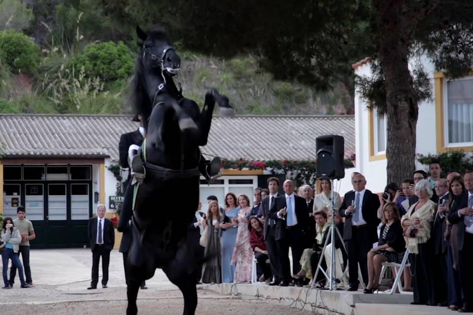 Imagen del vídeo de la boda