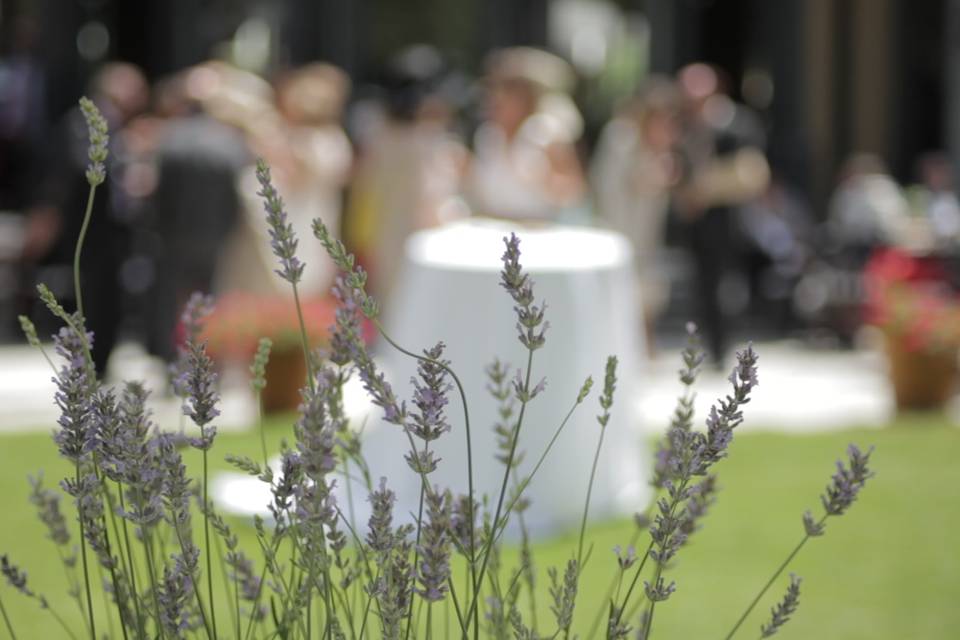 Imagen del vídeo de la boda