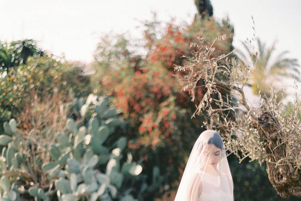 Boda en Ibiza