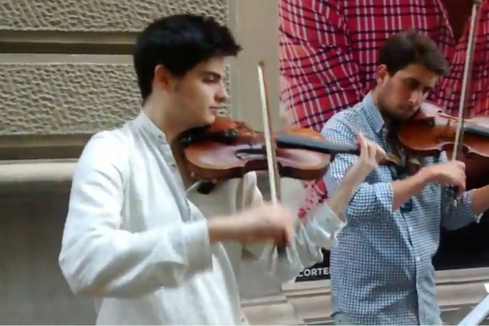 Violines