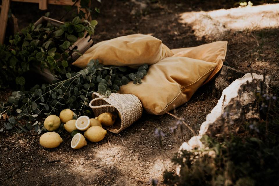 Cotton Weddings