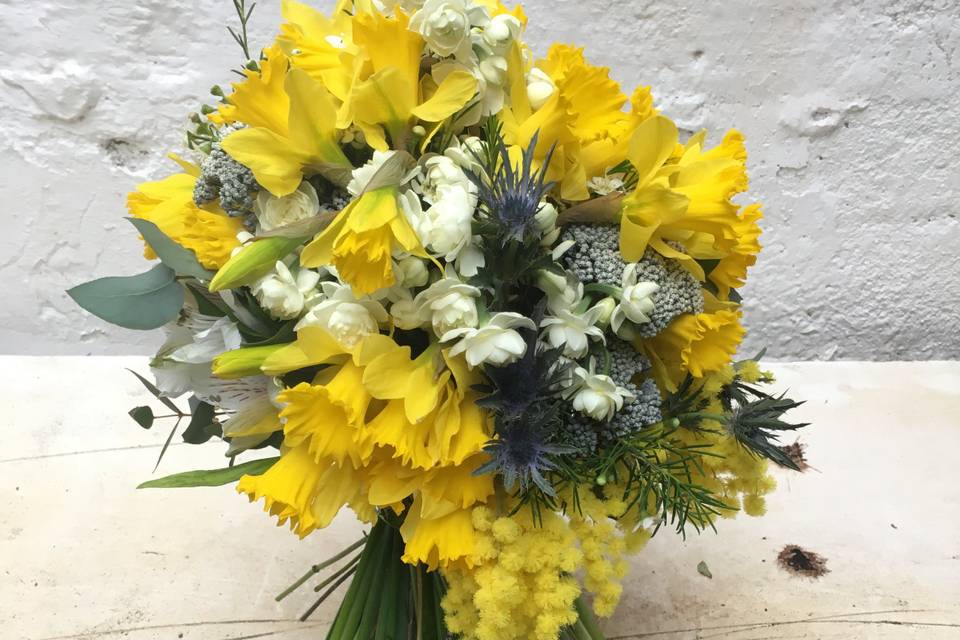 Amarillo flowers