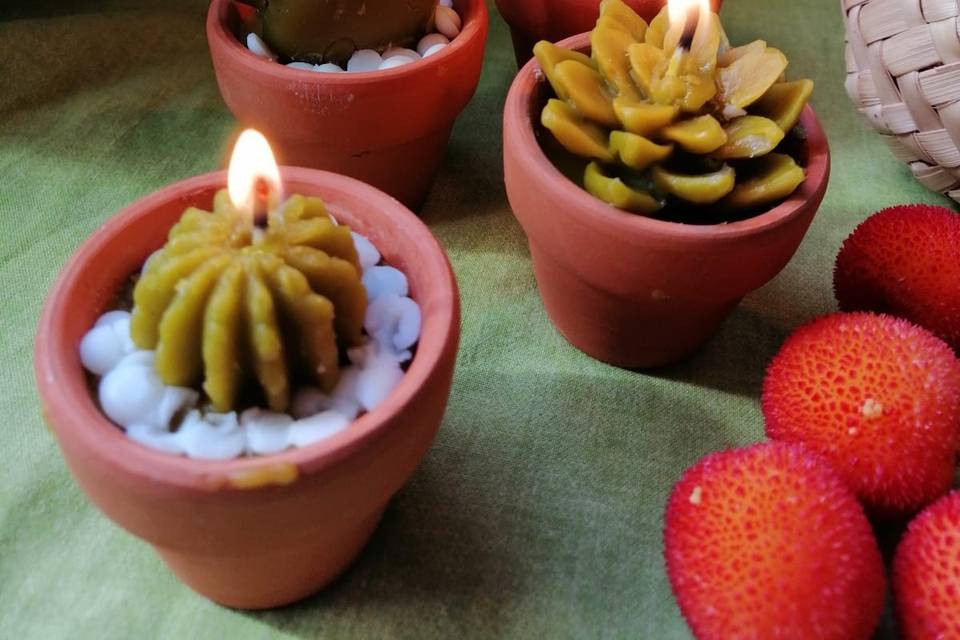 Velas de cera de abeja y soja