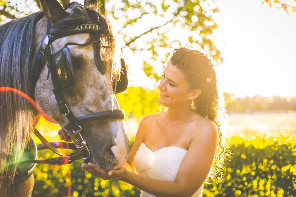 La novia y el caballo