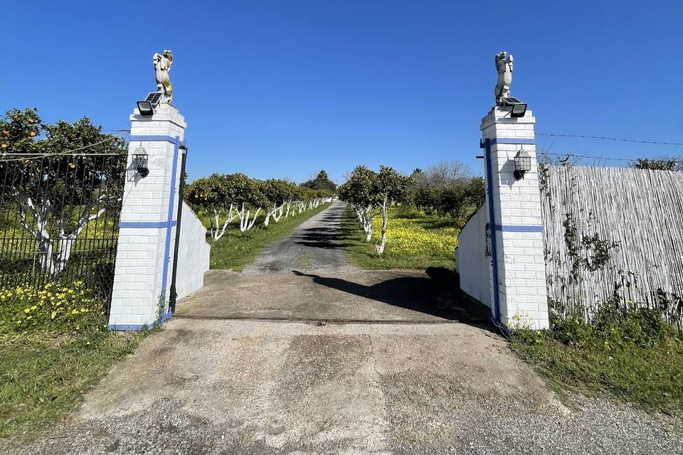 Entrada