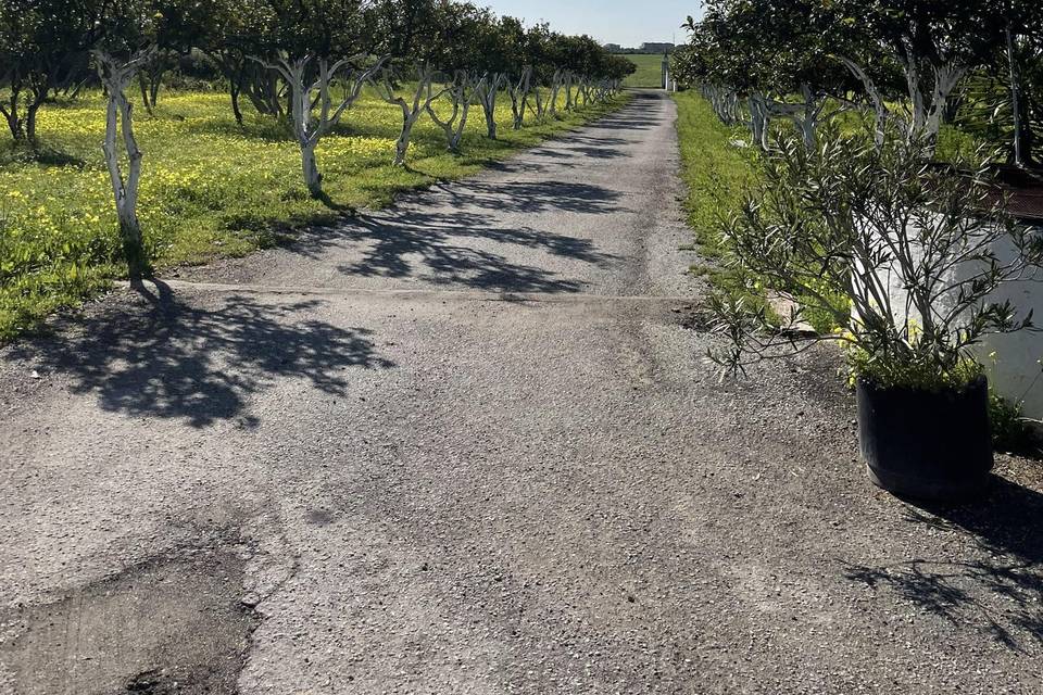 Entrada a la finca