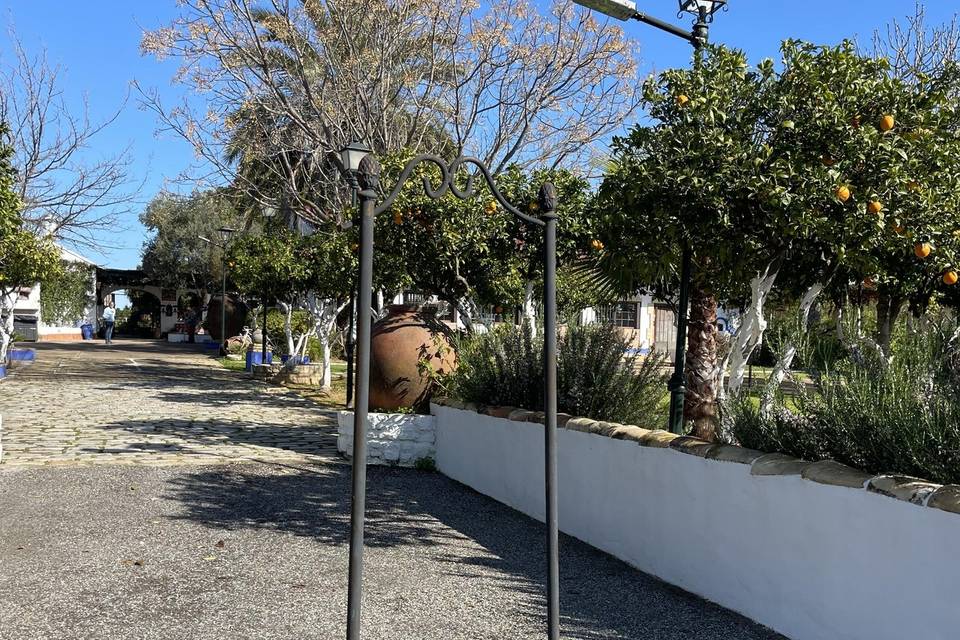 Espacio
