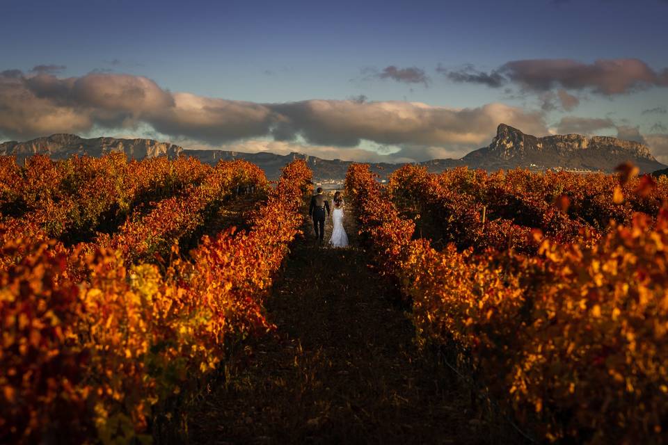 Boda entre viñedos