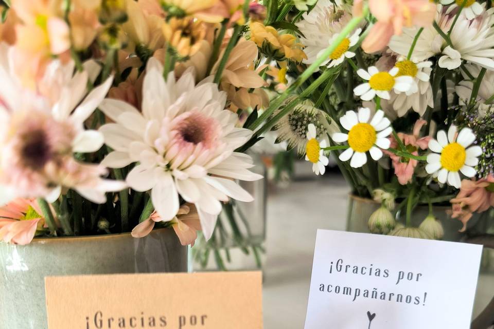 Marcasitios