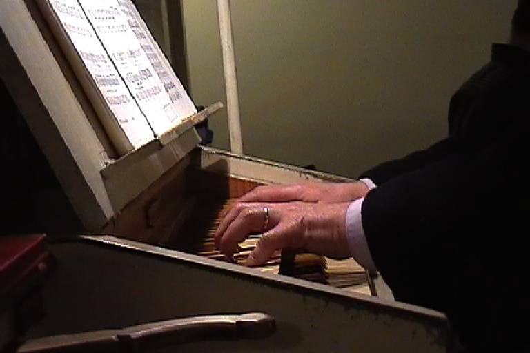 Organista