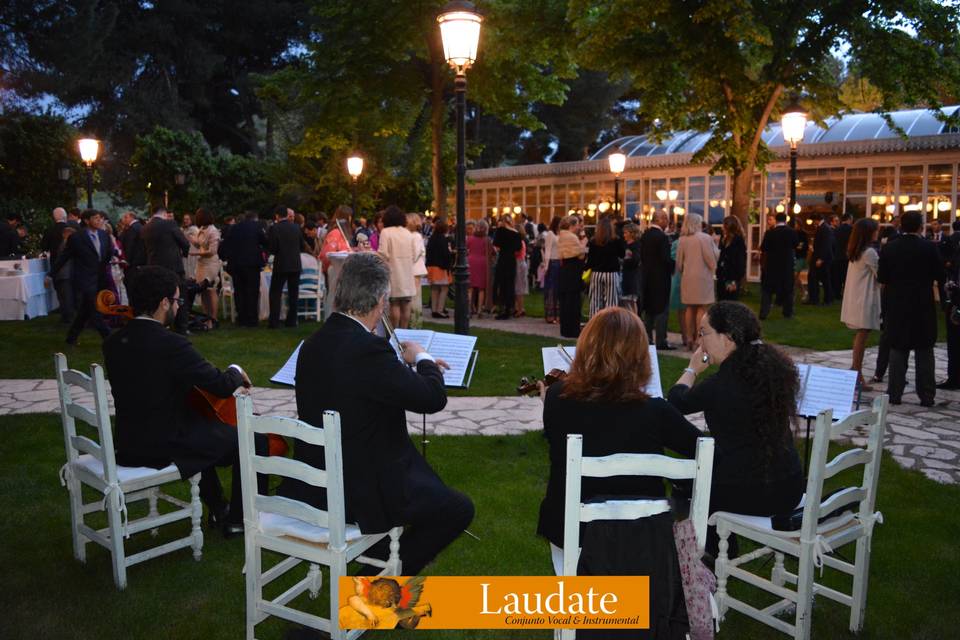 Laudate Eventos Musicales