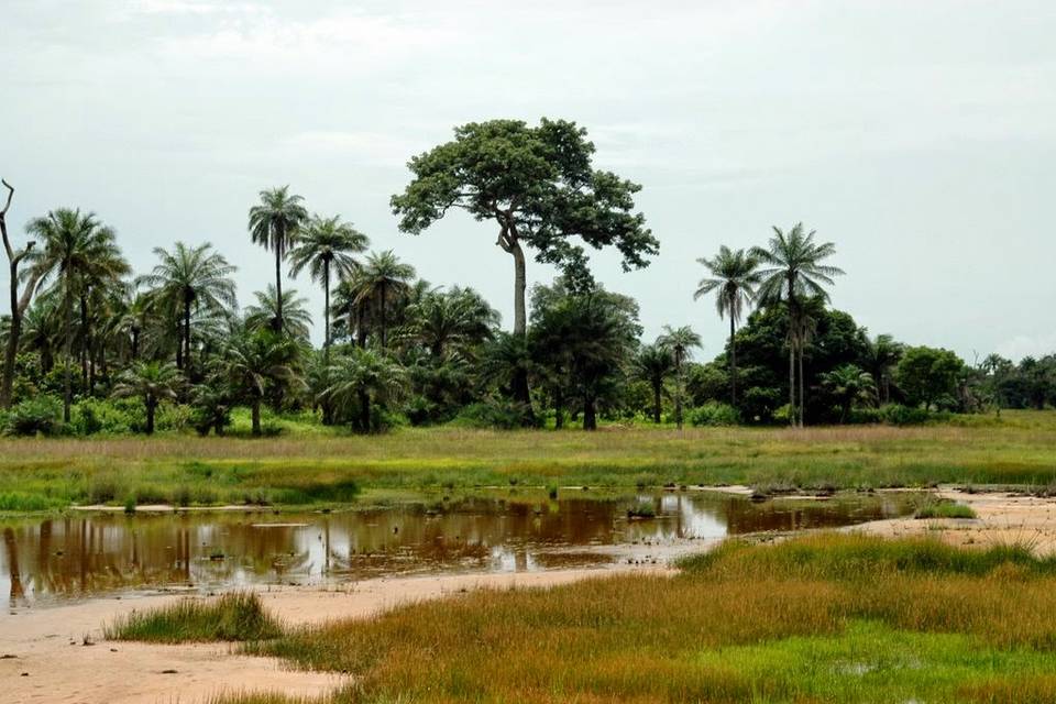 Gambia