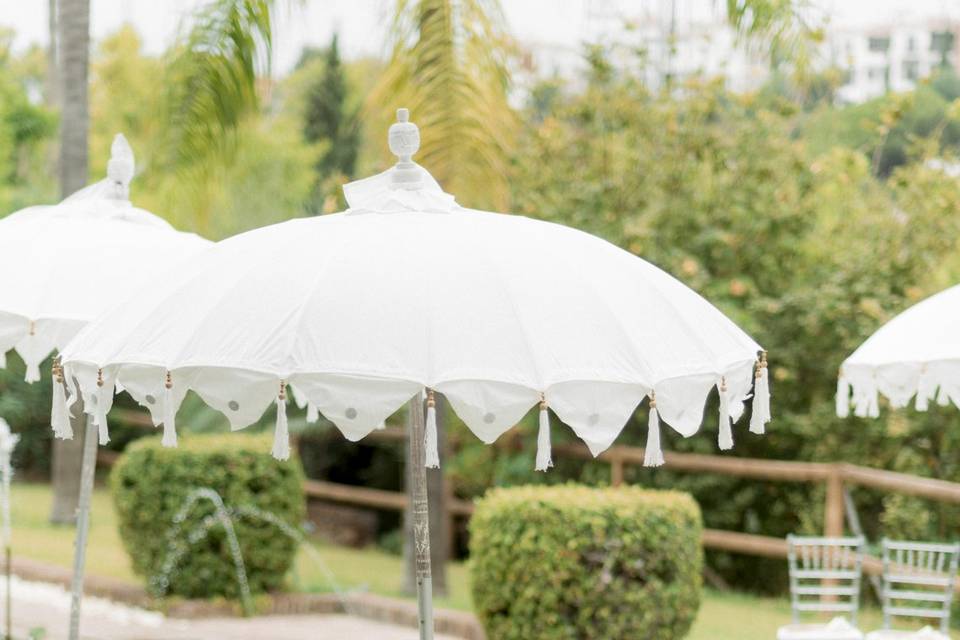 Sillas para la ceremonia