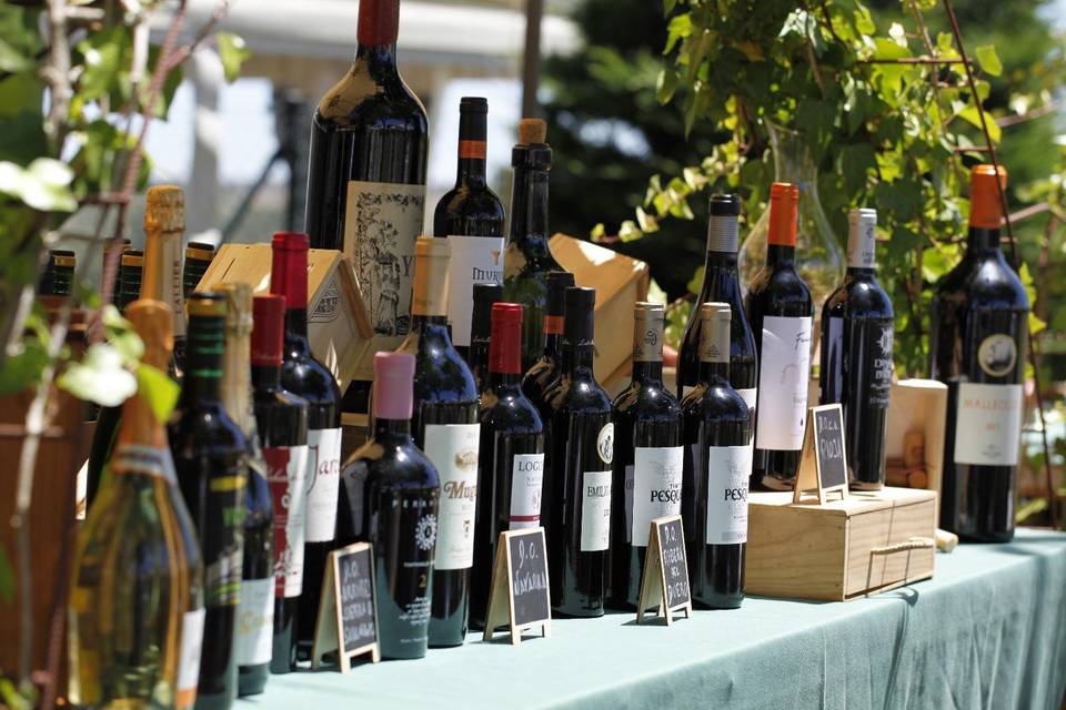 Wine expirence
