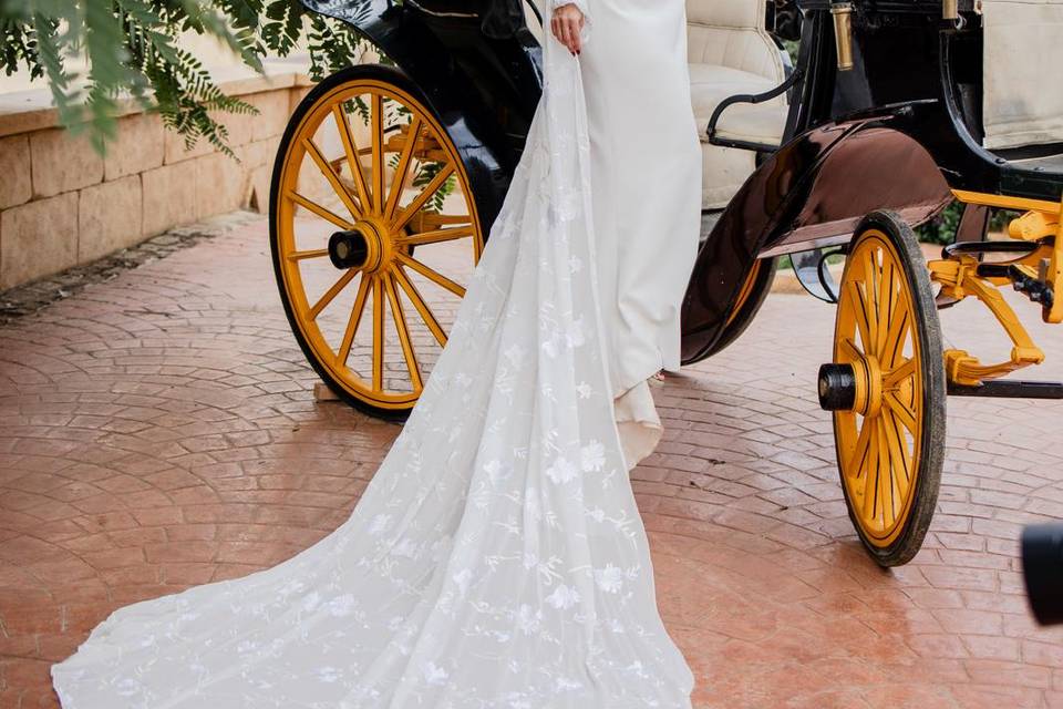 Alquiler coche caballos