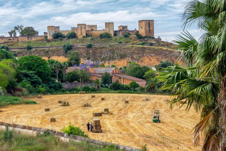 Huerta del rey almanzor