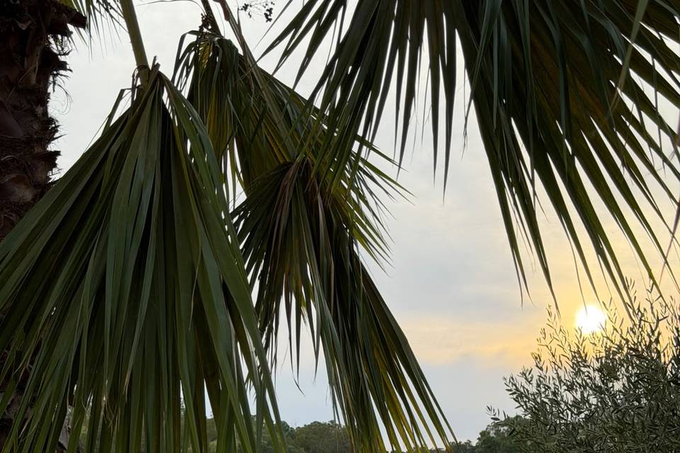 Puesta de sol arcos