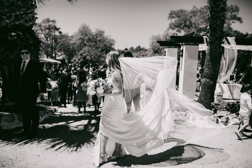 Bodas