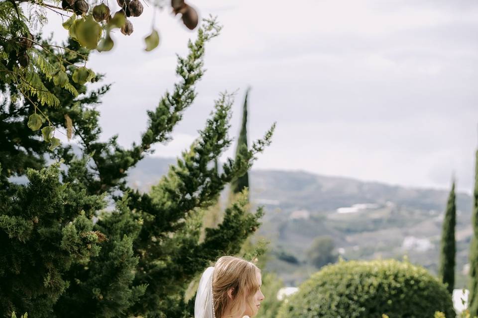 Bodas