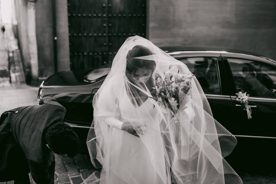 Bodas