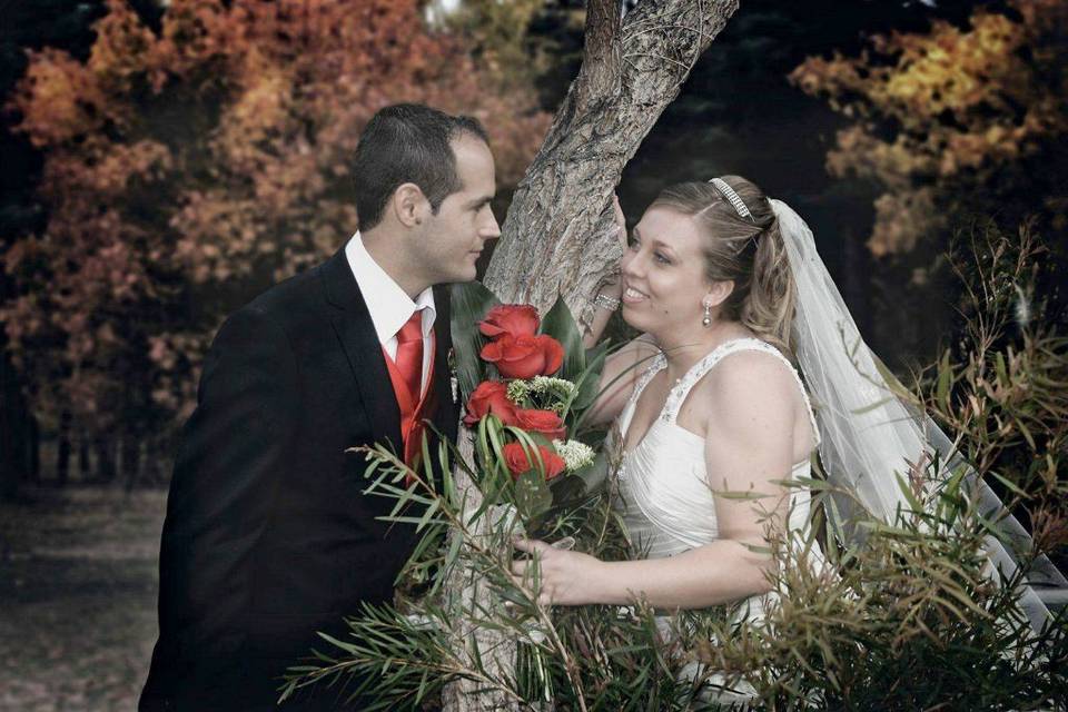 Novios posando en un árbol