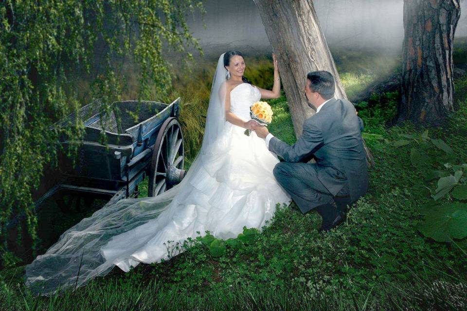 Pareja posando en el bosque