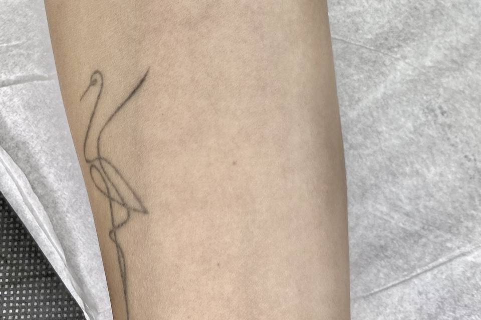 Flor sencilla