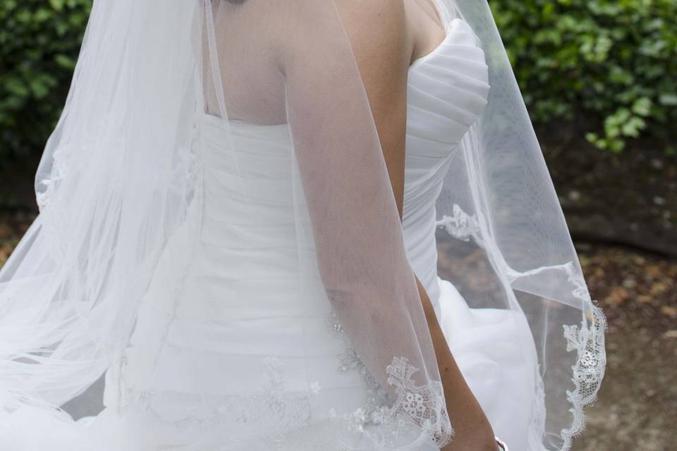 Novia