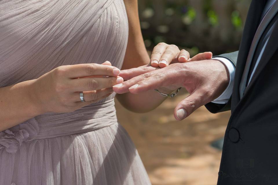 Anillos
