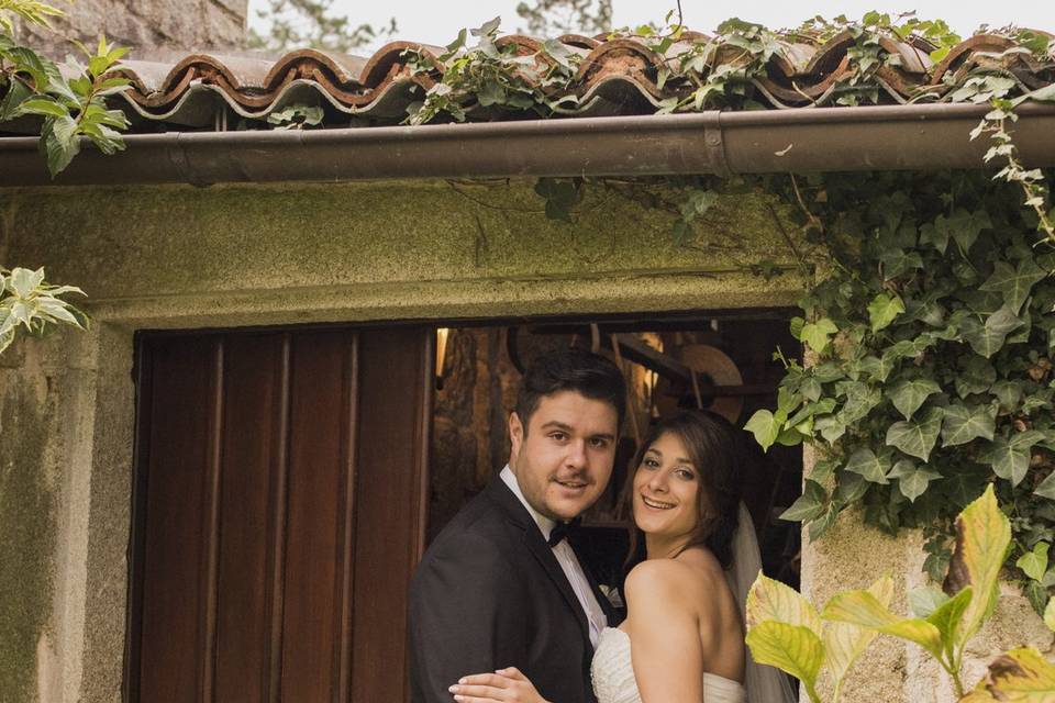 Bodas