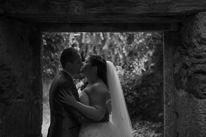 Novios