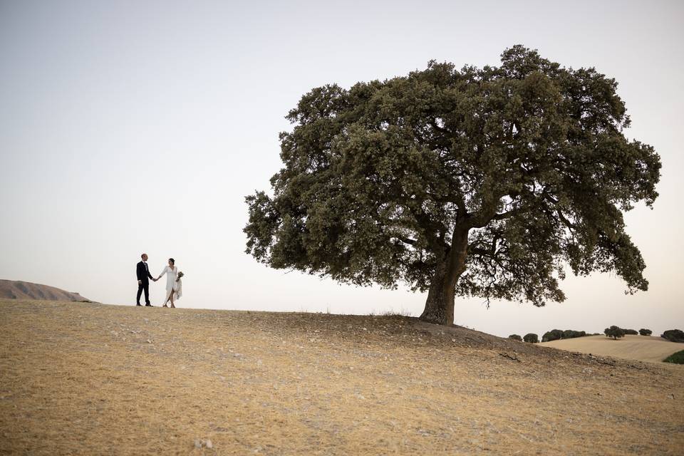 Pareja roble