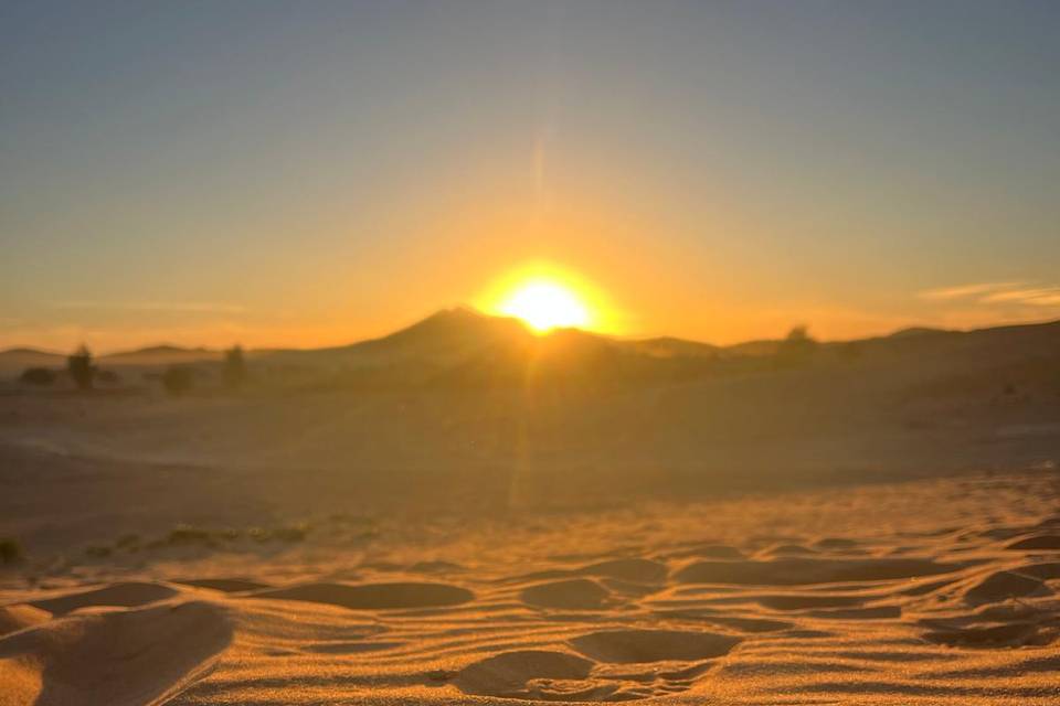 La magia del desierto