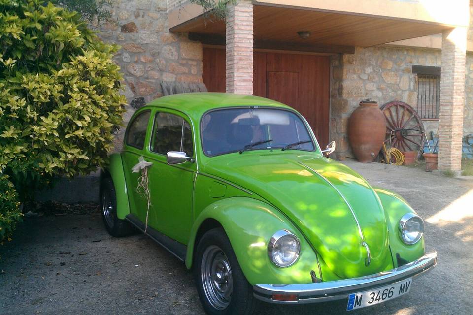 Vw escarabajo