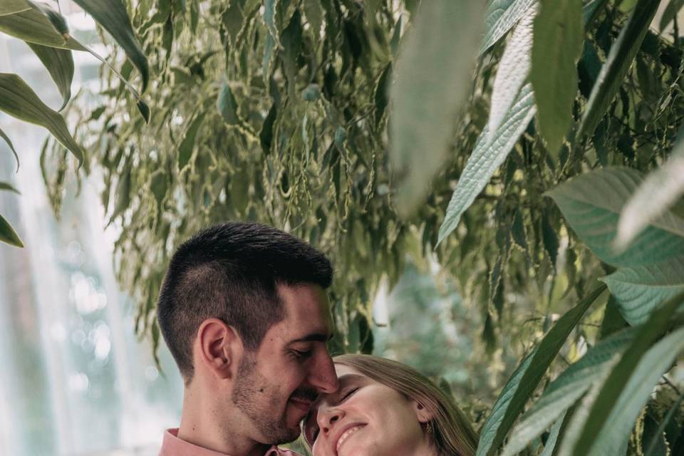 Preboda N&V
