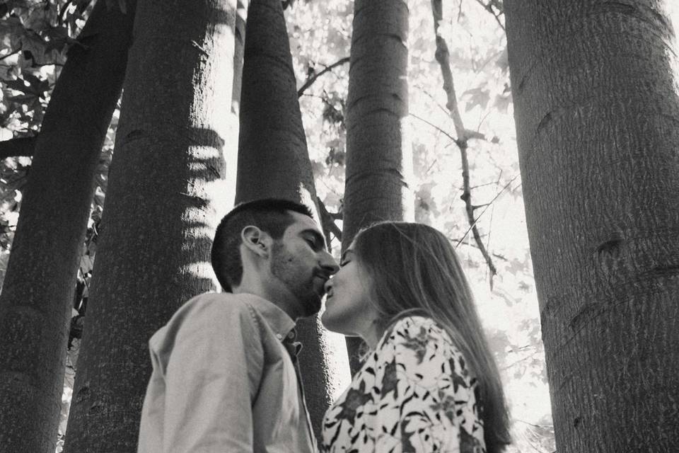Preboda N&V