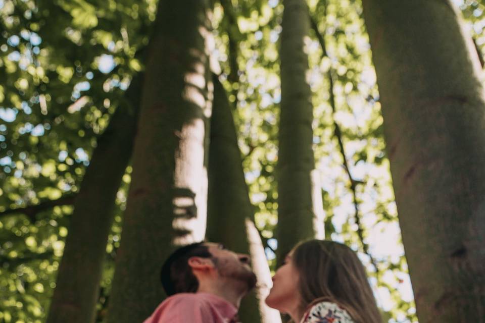 Preboda N&V