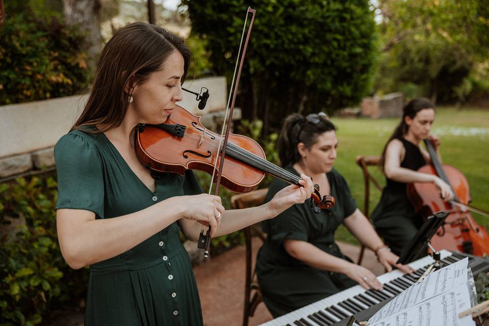 Música