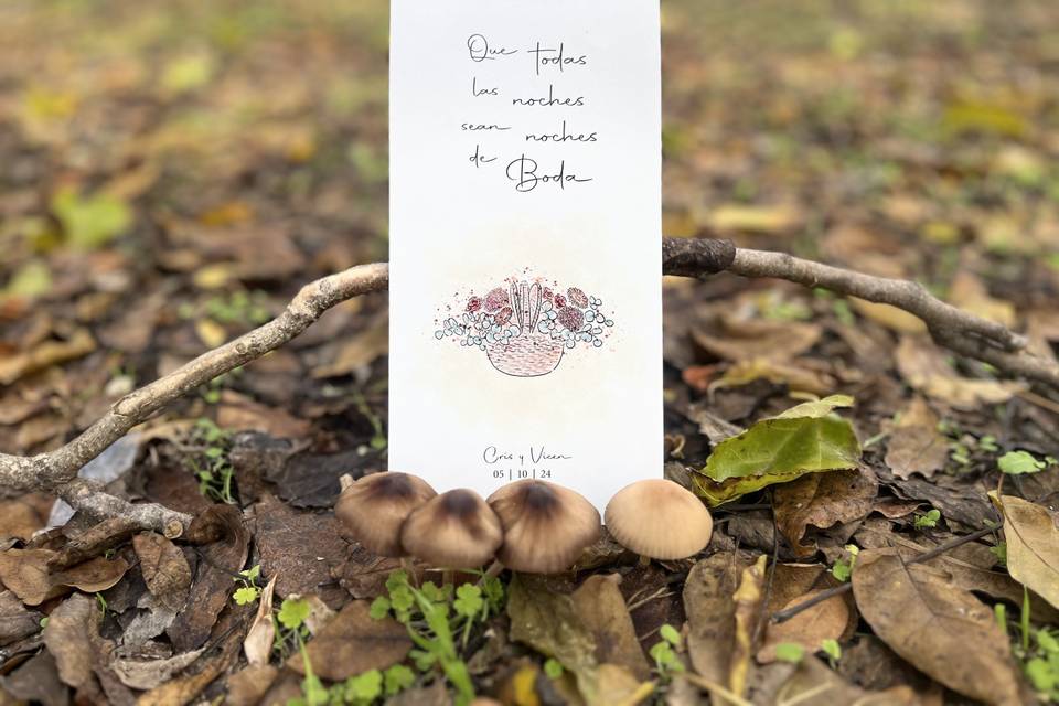 Diseños personalizados