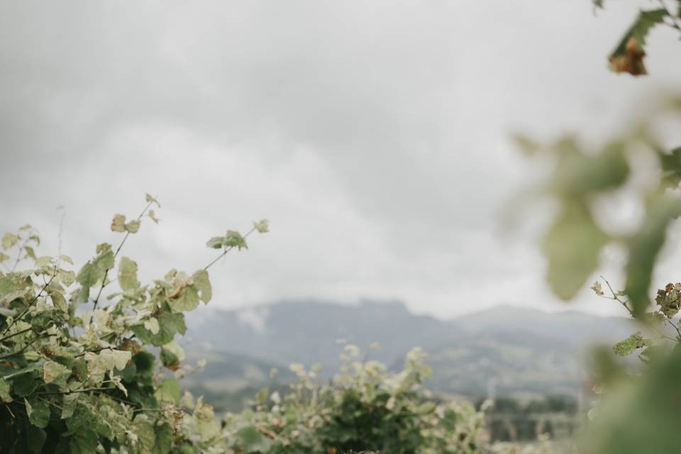 Boda en Guipúzcoa