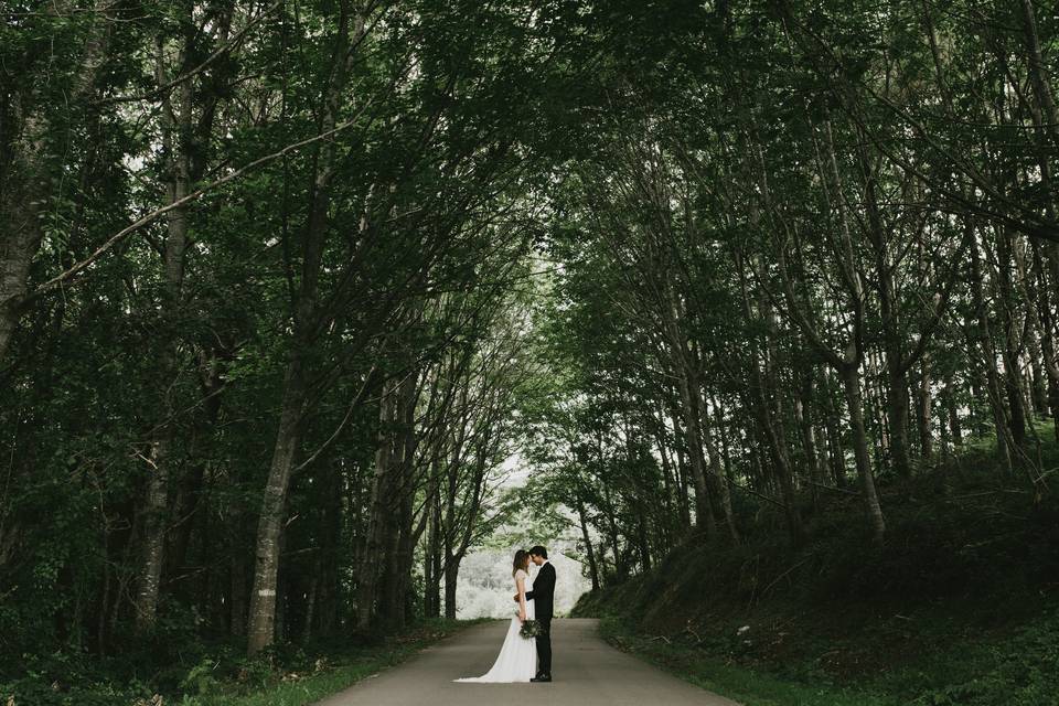 Boda en Guipúzcoa