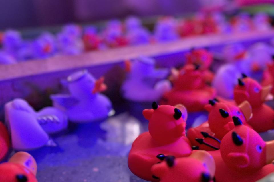 Pesca de patos