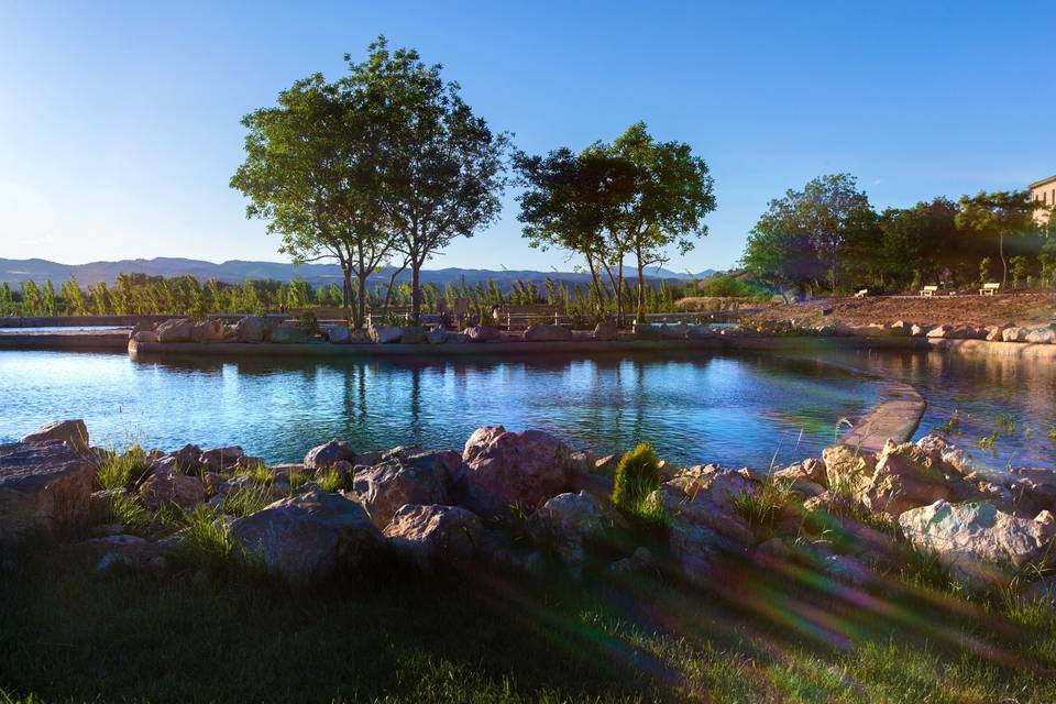 Vista de los lagos de la finca