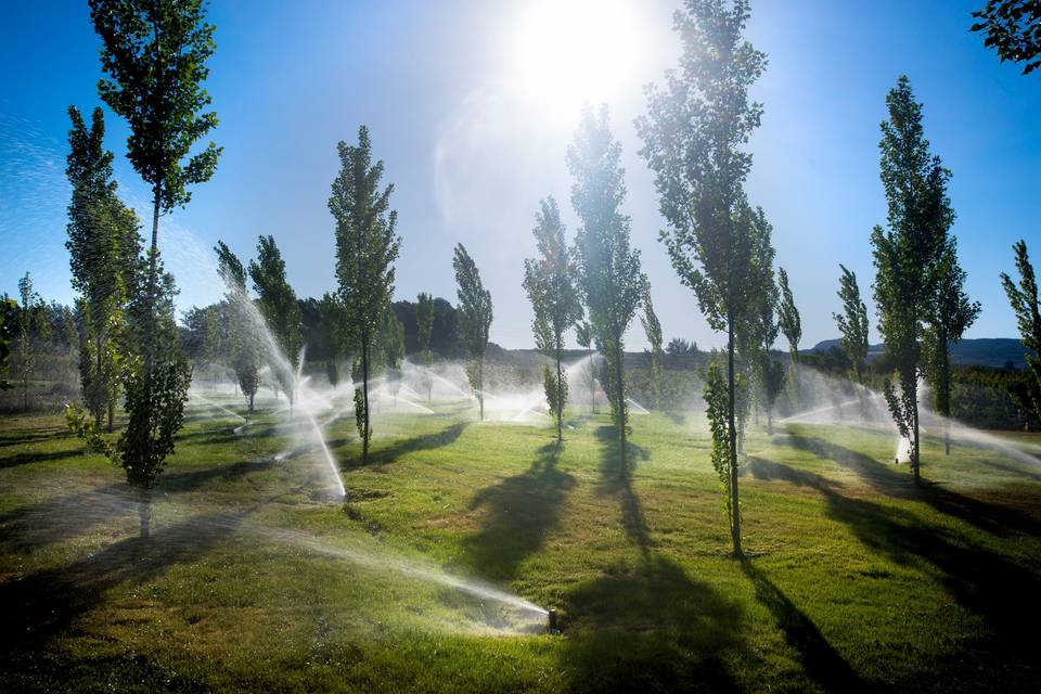 Balneario de Paracuellos de Jiloca