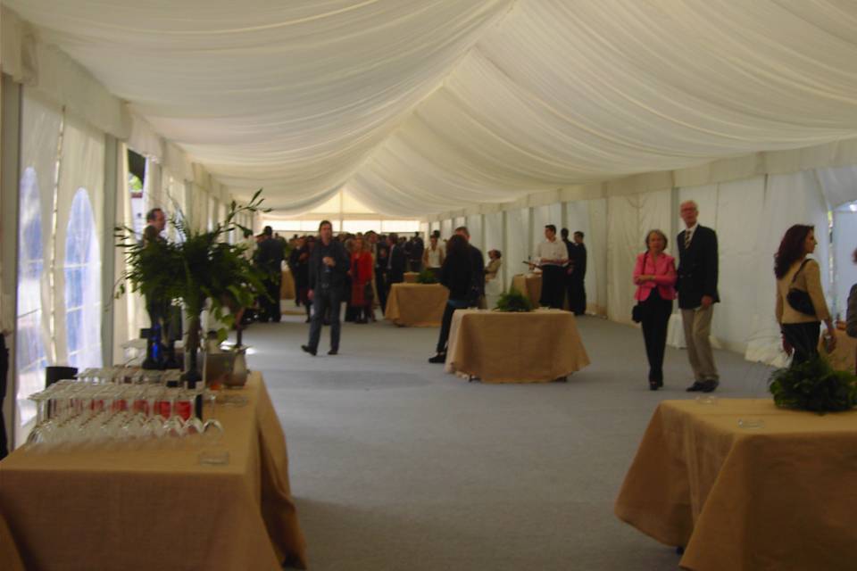 Interior carpa