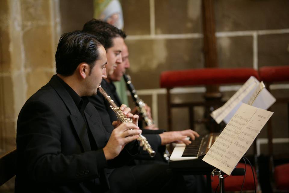 Camerata Boehm