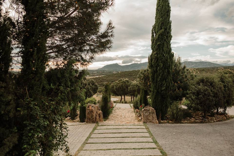 ¡Nuestras bodas!