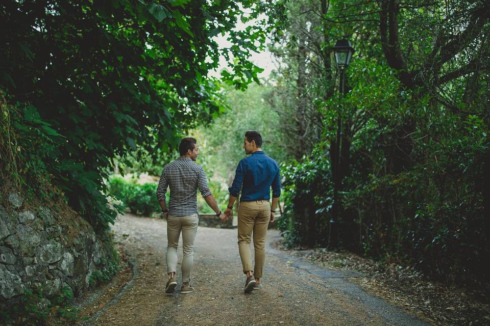 De paseo por el bosque