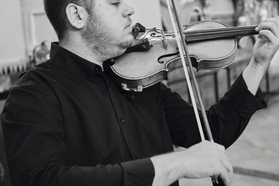 Violín