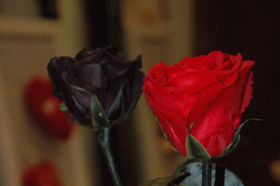 Rosas eternas